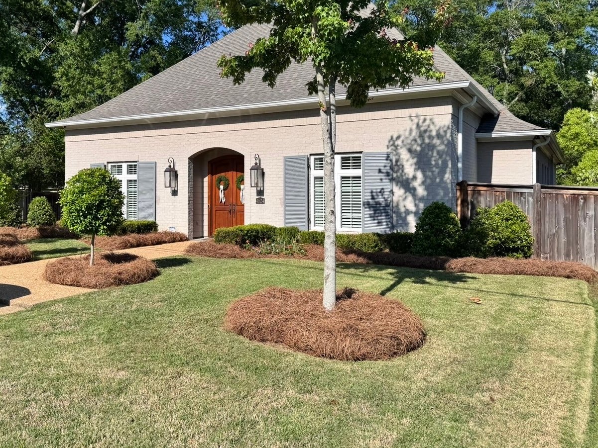 Fresh pine straw and landscaping installation