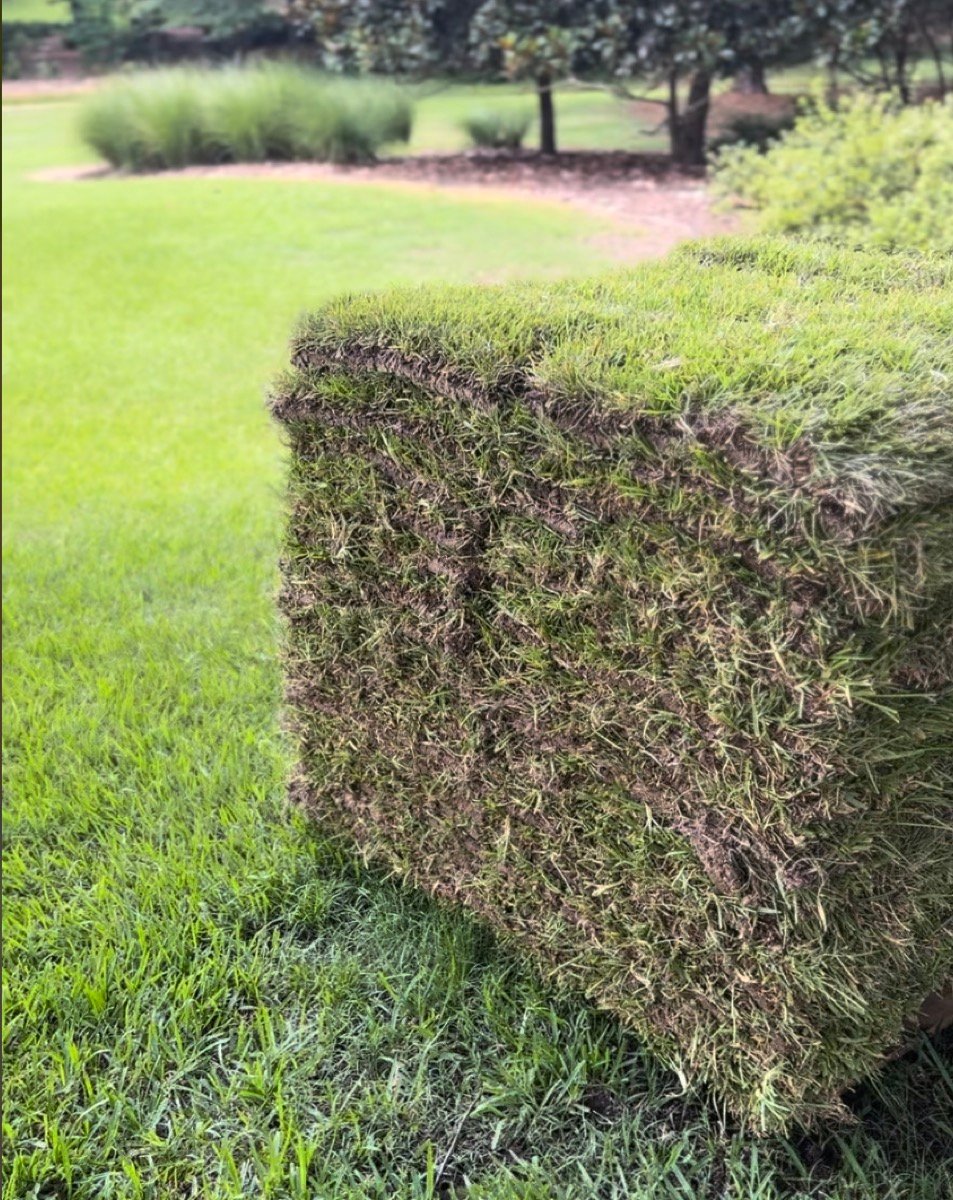 Fresh sod installation